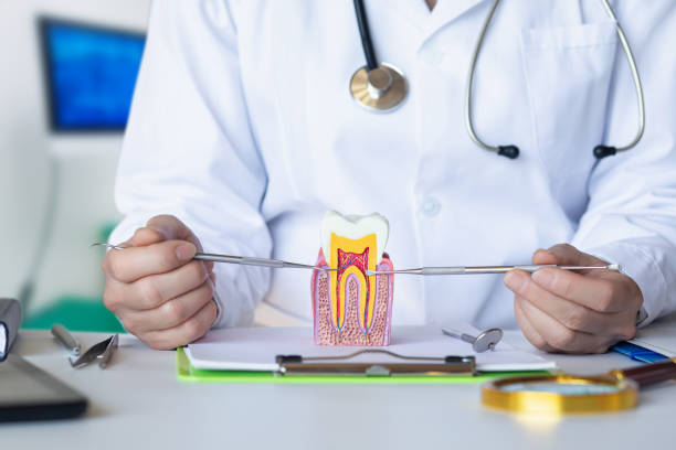 Best Emergency Root Canal Treatment in Gridley, CA
